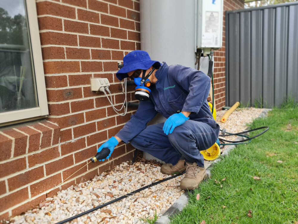 How to survive the busy summer season with Pest Control Software